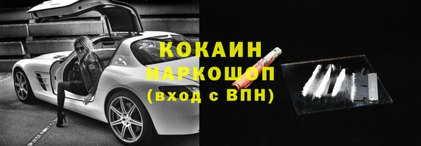 МДПВ Бородино