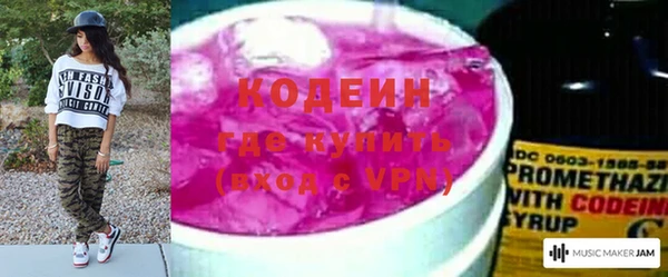МДПВ Бородино