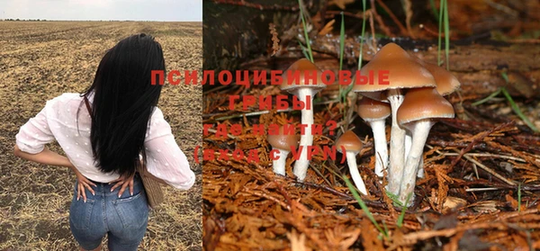 МДПВ Бородино
