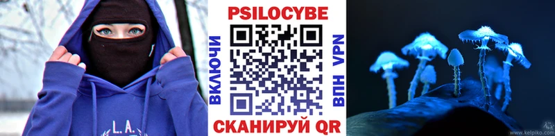 кракен онион  Малмыж  Псилоцибиновые грибы MAGIC MUSHROOMS 