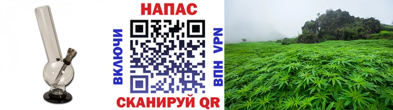 Бошки Шишки индика  Малмыж 